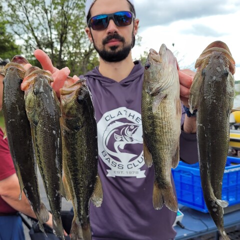 Will Fairnington - Saturday